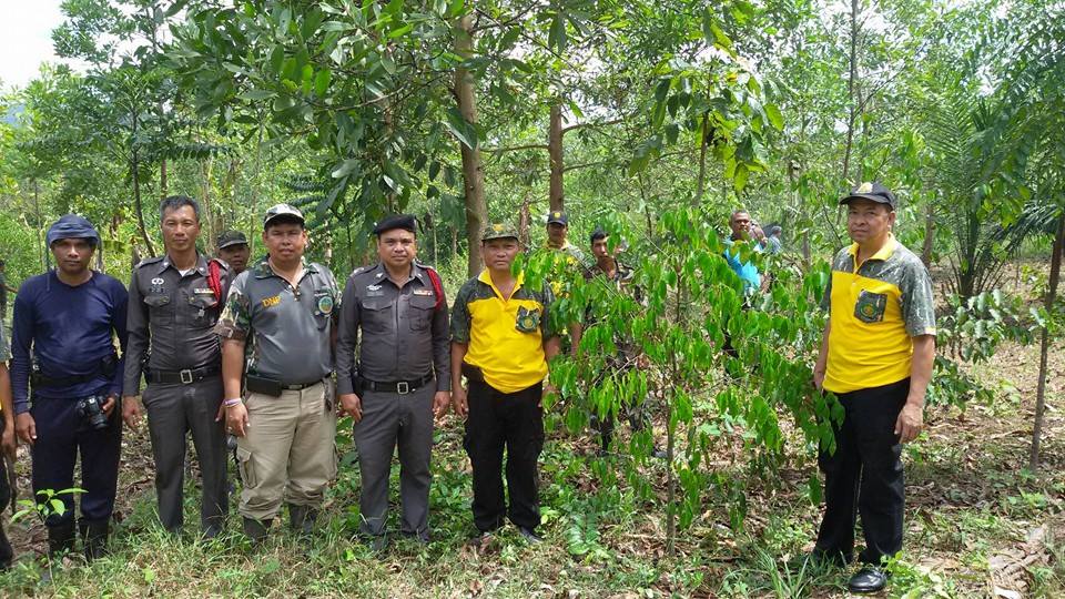 13260038_1720711744866059_2834288628153239171_n