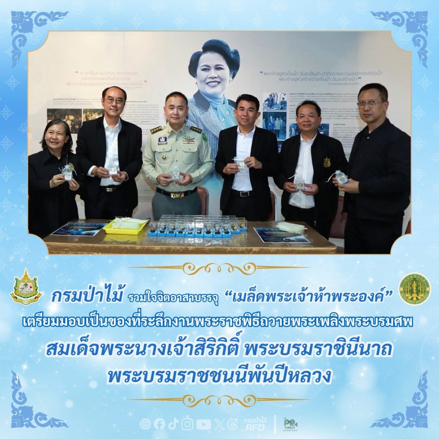 กรมป่าไม้ รวมใจจิตอาสา บรรจุ “เมล็ดพระเจ้าห้าพระองค์” เตรียมมอบเป็นของที่ระลึกงานพระราชพิธีถวายพระเพลิงพระบรมศพ สมเด็จพระนางเจ้าสิริกิติ์ พระบรมราชินีนาถ พระบรมราชชนนีพันปีหลวง