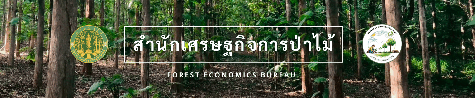 สำนักเศรษฐกิจการป่าไม้ กรมป่าไม้