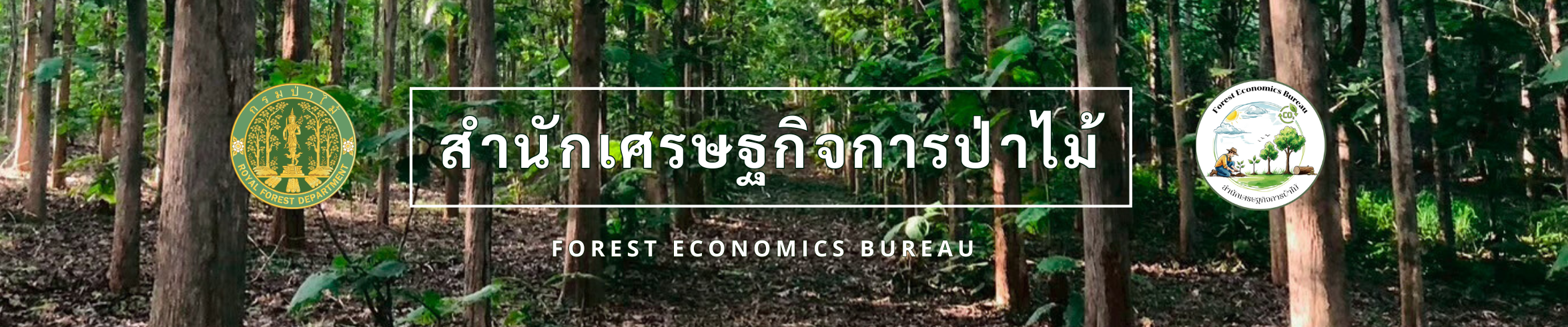 สำนักเศรษฐกิจการป่าไม้ กรมป่าไม้