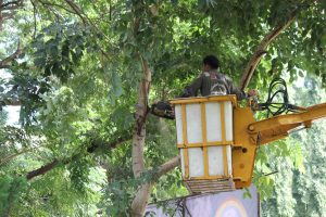 %e0%b8%a7%e0%b8%b1%e0%b8%99%e0%b8%a3%e0%b8%b1%e0%b8%81%e0%b8%95%e0%b9%89%e0%b8%99%e0%b9%84%e0%b8%a1%e0%b9%8927-10-59_1135