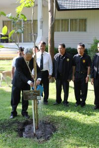 %e0%b8%a7%e0%b8%b1%e0%b8%99%e0%b8%a3%e0%b8%b1%e0%b8%81%e0%b8%95%e0%b9%89%e0%b8%99%e0%b9%84%e0%b8%a1%e0%b9%8927-10-59_2544