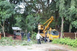 %e0%b8%a7%e0%b8%b1%e0%b8%99%e0%b8%a3%e0%b8%b1%e0%b8%81%e0%b8%95%e0%b9%89%e0%b8%99%e0%b9%84%e0%b8%a1%e0%b9%8927-10-59_3868