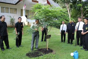 %e0%b8%a7%e0%b8%b1%e0%b8%99%e0%b8%a3%e0%b8%b1%e0%b8%81%e0%b8%95%e0%b9%89%e0%b8%99%e0%b9%84%e0%b8%a1%e0%b9%8927-10-59_3925