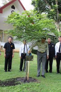 %e0%b8%a7%e0%b8%b1%e0%b8%99%e0%b8%a3%e0%b8%b1%e0%b8%81%e0%b8%95%e0%b9%89%e0%b8%99%e0%b9%84%e0%b8%a1%e0%b9%8927-10-59_6263