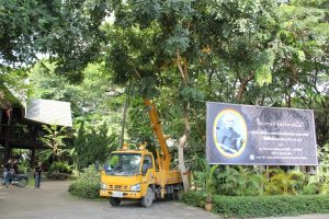 %e0%b8%a7%e0%b8%b1%e0%b8%99%e0%b8%a3%e0%b8%b1%e0%b8%81%e0%b8%95%e0%b9%89%e0%b8%99%e0%b9%84%e0%b8%a1%e0%b9%8927-10-59_6671