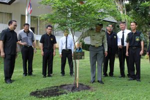 %e0%b8%a7%e0%b8%b1%e0%b8%99%e0%b8%a3%e0%b8%b1%e0%b8%81%e0%b8%95%e0%b9%89%e0%b8%99%e0%b9%84%e0%b8%a1%e0%b9%8927-10-59_9498