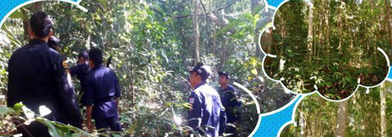 หน่วยป้องกันรักษาป่าที่ รย.3 (ห้วยทับมอญ) ได้ออกลาดตระเวนในเขตพื้นที่รับผิดชอบ บริเวณป่าชุมชนบ้านห้อยหัว หมู่ที่ 8 ตำบลห้วยทับมอญ อำเภอเขาชะเมา จังหวัดระยอง จำนวน 1แปลง เนื้อที่ 28-1-63 ไร่