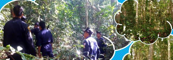 หน่วยป้องกันรักษาป่าที่ รย.3 (ห้วยทับมอญ) ได้ออกลาดตระเวนในเขตพื้นที่รับผิดชอบ บริเวณป่าชุมชนบ้านห้อยหัว หมู่ที่ 8 ตำบลห้วยทับมอญ อำเภอเขาชะเมา จังหวัดระยอง จำนวน 1แปลง เนื้อที่ 28-1-63 ไร่