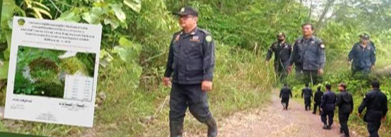 วันที่ 7 เมษายน 2564 เจ้าหน้าที่หน่วยป้องกันและพัฒนาป่าไม้บ่อไร่ เจ้าหน้าที่หน่วยป้องกันรักษาป่าที่ ตร.3 (มะนาว) ได้ออกลาดตระเวนในพื้นที่รับผิดชอบในเขตป่าสงวนแห่งชาติป่าเขาสมิง (ป่าคลองใหญ่และป่าเขาไฟไหม้) บริเวณป่าเขาสุด หมู่ที่ 3 ตำบลช้างทูน อำเภอบ่อไร่ จังหวัดตราด จำนวน 1 แปลง เนื้อที่ 48-3-89 ไร่ พื้นที่ป่ายังคงสภาพเป็นป่าสมบูรณ์ ไม่พบการกระทำความผิดตามกฏหมายว่าด้วยการป่าไม้