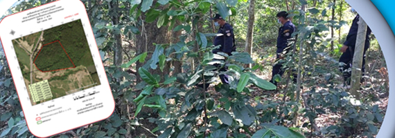 หน่วยป้องกันรักษาป่าที่ รย.2 (บ้านค่าย) ได้ออกลาดตระเวนในเขตพื้นที่รับผิดชอบ บริเวณเขาห้วยมะหาด หมู่ที่ 7 ตำบลบ้านฉาง อำเภอบ้านฉาง จังหวัดระยอง จำนวน 1 แปลง เนื้อที่ 43-3-40 ไร่