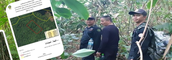 หน่วยป้องกันรักษาป่าที่ ตร.4 (ด่านชุมพล) ได้ออกลาดตระเวนในเขตพื้นที่รับผิดชอบ บริเวณป่าเขาถ้ำ หมู่ที่ 3 ตำบลชุมพล อำเภอบ่อไร่ จังหวัดตราด จำนวน 1 แปลง เนื้อที่ 22-0-50 ไร่