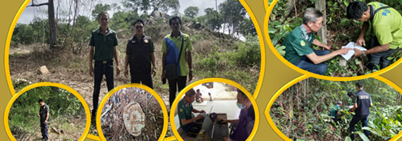 หน่วยป้องกันรักษาป่าที่ รย.2 (บ้านค่าย) ร่วมกับผู้ใหญ่บ้าน หมู่ที่ 6 ตำบลเพ อำเภอเมือง จังหวัดระยอง ได้ร่วมกันตรวจสอบตามที่ผู้อำนวยการศูนย์ป่าไม้ระยองได้ประสานให้หน่วยป้องกันรักษาป่าที่ รย.2 (บ้านค่าย) เข้าตรวจสอบพื้นที่ "บริเวณเนินเขา มีการแผ้วถางป่าบนเขาบ้านต้นลำดวน หมู่ที่ 6 ตบลเพ อำเภอเมือง จังหวัดระยอง"