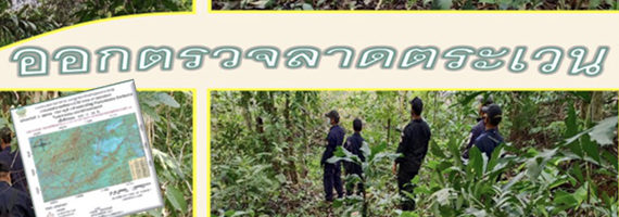 วันที่ 9 เมษายน 2564 เจ้าหน้าที่หน่วยป้องกันและพัฒนาป่าไม้เขาสมิง เจ้าหน้าที่หน่วยป้องกันรักษาป่าที่ ตร.1 (คลองสะตอ) ได้ออกตรวจลาดตระเวนพื้นที่รับผิดชอบในเขตป่าสงวนแห่งชาติป่าดงธรรมชาติ บริเวณเขาภูรัก หมู่ที่ 3 บ้านเนินดินแดง ตำบลคลองใหญ่ อำเภอแหลมงอบ จังหวัดตราด จำนวน 1 แปลง เนื้อที่ 136-3-36 ไร่ พื้นที่ป่ายังคงสภาพเป็นป่าสมบูรณ์ ไม่พบการกระทำความผิดตามกฏหมายว่าด้วยการป่าไม้