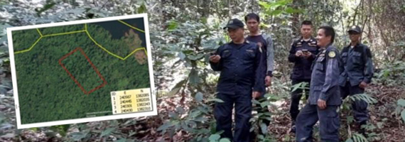 วันที่ 11 เมษายน 2564 หน่วยป้องกันรักษาป่าที่ ตร.4 (ด่านชุมพล) ได้ออกลาดตระเวนในเขตพื้นที่รับผิดชอบบริเวณป่าเขาเอ็ด หมู่ที่ 5 ตำบลนนทรีย์ อำเภอบ่อไร่ จังหวัดตราด จำนวน 1 แปลง เนื้อที่ 16-3-88 ไร่ พื้นที่ป่ายังคงสภาพเป็นป่าสมบูรณ์ ไม่พบการกระทำความผิดตามกฏหมายว่าด้วยการป่าไม้