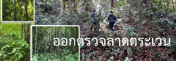 วันที่ 16 เมษายน 2564 หน่วยป้องกันรักษาป่าที่ ตร.4 (ด่านชุมพล) ได้ออกลาดตระเวนในเขตพื้นที่รับผิดชอบ บริเวณป่าเขาน้อย หมู่ที่ 1 ตำบลด่านชุมพล อำเภอบ่อไร่ จังหวัดตราด จำนวน 1 แปลง เนื้อที่ 40-1-47 ไร่ พื้นที่ป่ายังคงสภาพเป็นป่าสมบูรณ์ ไม่พบการกระทำความผิดตามกฏหมายว่าด้วยการป่าไม้