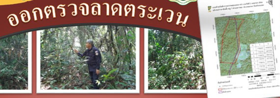 หน่วยป้องกันรักษาป่าที่ รย.1 (บ้านนา-ทุ่งควายกิน) ได้ออกลาดตระเวนในพื้นที่รับผิดชอบบริเวณป่าเขาหินตั้ง หมู่ที่ 7 ตำบลชากพง อำเภอแกลง จังหวัดระยอง จำนวน 1 แปลง เนื้อที่ 89-1-82 ไร่