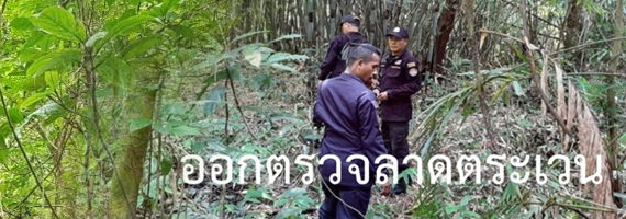 วันที่ 20 เมษายน 2564 หน่วยป้องกันรักษาป่าที่ ตร.4 (ด่านชุมพล) ได้ออกลาดตระเวนในเขตพื้นที่รับผิดชอบ บริเวณป่าเขาเอ็ด หมู่ที่ 5 ตำบลนนทรีย์ อำเภอบ่อไร่ จังหวัดตราด จำนวน 1 แปลง เนื้อที่ 155-0-66 ไร่ พื้นที่ป่ายังคงสภาพเป็นป่าสมบูรณ์ ไม่พบการกระทำความผิดตามกฏหมายว่าด้วยการป่าไม้