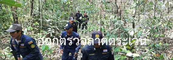 หน่วยป้องกันรักษาป่าที่ ตร.4 (ด่านชุมพล) ได้ออกลาดตระเวนในเขตพื้นที่รับผิดชอบ บริเวณป่าเขาเอ็ด หมู่ที่ 5 ตำบลนนทรีย์ อำเภอบ่อไร่ จังหวัดตราด จำนวน 1 แปลง เนื้อที่ 40-2-0 ไร่