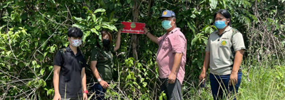 วันที่ 22 เมษายน 2564 เจ้าหน้าที่ส่วนจัดการป่าชุมชน สำนักจัดการทรัพยากรป่าไม้ที่ 9 (ชลบุรี) ดำเนินการตรวจติดตามผลการดำเนินงาน งบเงินอุดหนุน (เงินกู้) กิจกรรมโครงการสร้างเศรษฐกิจชุมชมจากป่าชุมชน บ้านหนองวงษ์ หมู่ที่ 7 ตำบลหนองอิรุณ อำเภอบ้านบึง จังหวัดชลบุรี