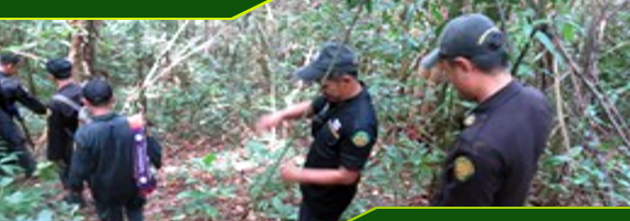 วันที่ 22 เมษายน 2564 หน่วยป้องกันรักษาป่าที่ ตร.2 (คลองห้วยแร้ง) ได้ออกลาดตระเวณเขตพื้นที่รับผิดชอบ ป่าสงวนแห่งชาตอ ป่าเขาบรรทัด บ้านคลองสน หมู่ที่ 6 ตำบลหแลมกลัด อำเภอเมืองตราด จังหวัดตราด จำนวน 1 แปลง เนื้อที่ประมาณ 92-2-94 ไร่ ผลการตรวจลาดตระเวณ พื้นที่ป่ายังคงสภาพเป็นป่าสมบูรณ์ ไม่พบการกระทำความผิดตามกฏหมายว่าด้วยการป่าไม้