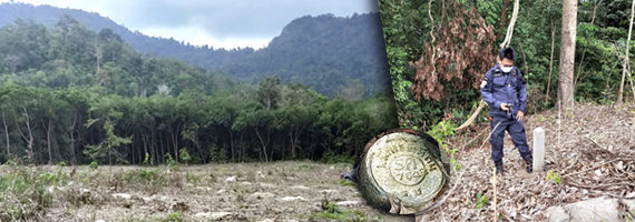 วันที่ 22 เมษายน 2564 หน่วยป้องกันรักษาป่าที่ รย.2 (บ้านค่าย) ร่วมกับ ผู้ใหญ่บ้านหมู่ที่ 6 ตำบลบ้านแลง อำเภอเมือง จังหวัดระยอง ได้ร่วมกันตรวจสอบตามหนังสือร้องเรียน เลขทะเบียน 6401631 ว่าพบเห็นการลักลอบตัดไม้บริเวณกว้าง ในพื้นที่ หมู่ที่ 6 ตำบลบ้านแลง อำเภอเมือง จังหวัดระยอง คณะเจ้าหน้าที่ได้ร่วมกันตรวจสอบพื้นที่ดังกล่าวพบว่ามีตอไม้ยางพารา อายุประมาณ 50 ปี ขึ้นไป และไม่พบไม้หวงห้ามแต่งอย่างใด คณะเจ้าหน้าที่จึงได้ร่วมกันตรวจวัดพื้นที่โดยเครื่องมือหาค่าพิกัดจากสัญญาณดาวเทียม (GPS) WGS84 ได้ค่าพิกัด จำนวน 8 จุด เนื้อที่ 20-1-51 ไร่ จากการสอบถามผู้ใหญ่บ้าน บ้านตะเกราทอง หมู่ที่ 6 ตำบลบ้านแลง อำเภอเมือง จังหวัดระยอง ได้แจ้งว่าพื้นที่ดังกล่าวเป็นที่ดินทำกินดั้งเดิม โดยทำกินต่อเนื่องมาแล้วกว่า 50 ปี เคยมีการเดินสำรวจที่ดินแล้วเมื่อประมาณปี พ.ศ. 2560 และได้จัดทำบันทึกตรวจสอบและรายงานผู้บังคับบัญชาต่อไป