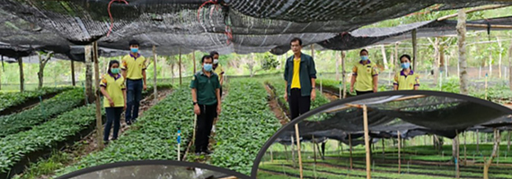 วันที่ 23 เมษายน 2564 ผู้อำนวยการส่วนส่งเสริมการปลูกป่า สำนักจัดการทรัพยากรป่าไท้ที่ 9 (ชลบุรี) พร้อมด้วยเจ้าหน้าที่โครงการส่งเสริมและสืบสานพระราชดำริ ได้ตรวจติดตามผลการปฏิบัติงาน ของโครงการอนุรักษ์ทรัพยากรป่าไม้ในพื้นที่รอยต่อ 5 จังหวัด (ภาคตะวันออก) จังหวัดระยอง พร้อมทั้งประสานโครงพัชรสุธาคชานุรักษ์ ในพื้นที่อำเภอเขาชะเมา จังหวัดระยอง ผลเป็นไปด้วยความเรียบร้อย