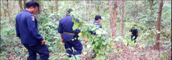 วันที่ 30 เมษายน 2564 หน่วยป้องกันรักษาป่าที่ รย.3 (ห้วยทับมอญ) ได้ออกลาดตระเวนในเขตพื้นที่รับผิดชอบ บริเวณป่าเขาตะพง หมู่ที่ 4 ตำบลชุมแสง อำเภอวังจันทร์ จังหวัดระยอง จำนวน 1 แปลง เนื้อที่ 44-0-1 ไร่ พื้นที่ป่ายังคงสภาพเป็นป่าสมบูรณ์ ไม่พบการกระทำความผิดตามกฏหมายว่าด้วยการป่าไม้