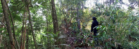 วันที่ 30 เมษายน 2564 หน่วยป้องกันรักษาป่าที่ ตร.2 (ห้วยทับมอญ) ได้ออกลาดตระเวนเขตพื้นที่รับผิดชอบ ป่าพระราชบัญญัติป่าไม้ พุทธศักราช 2484 บ้านบางอิน หมู่ที่ 6 ตำบลคลองใหญ่ อำเภอคลองใหญ่ จังหวัดตราด จำนวน 1 แปลง เนื้อที่ 40-1-26 ไร่ พื้นที่ป่ายังคงสภาพเป็นป่าสมบูรณ์ ไม่พบการกระทำความผิดตามกฏหมายว่าด้วยการป่าไม้แต่อย่างใด