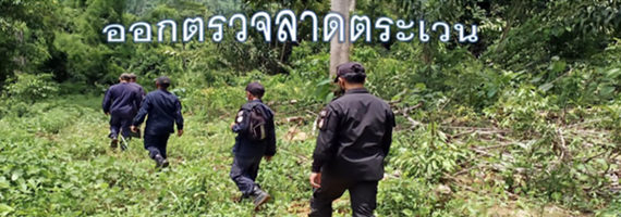 วันที่ 1 พฤษภาคม 2564 เจ้าหน้าที่หน่วยป้องกันและพัฒนาป่าไม้เขาสมิง เจ้าหน้าที่หน่วยป้องกันรักษาป่าที่ ตร.1 (คลองสะตอ) ได้ออกตรวจลาดตระเวนพื้นที่รับผิดชอบในเขตป่าสงวนแห่งชาติป่าเขาสมิง (ป่าคลองใหญ่และป่าเขาไฟไหม้) บริเวณเขาตาโม๊ะ หมู่ที่ 7 บ้านอิเร็ม ตำบลประณีต อำเภอเขาสมิง จังหวัดตราด จำนวน 1 แปลง เนื้อที่ 240-2-62 ไร่ พื้นที่ป่ายังคงสภาพเป็นป่าสมบูรณ์ ไม่พบการกระทำความผิดตามกฏหมายว่าด้วยการป่าไม้