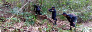 วันที่ 6 พฤษภาคม 2564 หน่วยป้องอกันรักษาป่าที่ ตร.2 (คลองห้วยแร้ง) ได้ออกลาดตระเวนเขตพื้นที่รับผิดชอบ ป่าสงวนแห่งชาติ ป่าเขาบรรทัด บ้านคลองสน 6 ตำบลแหลมกลัด อำเภอเมืองตราด จังหวัดตราด จำนวน 1 แปลง เนื้อที่ 70-2-84 ไร่ ผลการตรวจลาดตระเวนพื้นที่ป่ายังคงสภาพเป็นป่าสมบูรณ์ ไม่พบการกระทำความผิดตามกฏหมายว่าด้วยการป่าไม้แต่อย่างใด