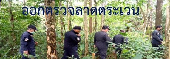 วันที่ 7 พฤษภาคม 2564 เจ้าหน้าที่หน่วยป้องกันและพัฒนาป่าไม้บ่อไร่ เจ้าหน้าที่หน่วยป้องกันรักษาป่าที่ ตร.3 (ทะนาว) ได้ออกลาดตระเวนในเขตพื้นที่รับผิดชอบ ในเขตป่าสงวนแห่งชาติป่าเขาสมิง (ป่าคลองใหญ่และป่าเขาไฟไหม้) บริเวณป่าเขาสำนักสงฆ์มะนาว หมู่ที่ 5 ตำบลหนองบอน อำเภอบ่อไร่ จังหวัดตราด จำนวน 1 แปลง เนื้อที่ 31-1-13 ไร่ พื้นที่ป่ายังคงสภาพเป็นป่าสมบูรณ์ ไม่พบการกระทำความผิดตามกฏหมายว่าด้วยการป่าไม้