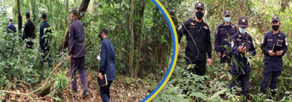 วันที่ 9 พฤษภาคม 2564 เจ้าหน้าที่หน่วยป้องกันและพัฒนาป่าไม้เขาสมิง เจ้าหน้าที่หน่วยป้องกันรักษาป่าไม้ที่ ตร.1 (คลองสะตอ) ได้ออกตรวจลาดตระเวนพื้นที่รับผิดชอบ ในเขตป่าสงวนแห่งชาติป่าสมิง (ป่าคลองใหญ่และป่าเขาไฟไหม้) บริเวณเขากราด หมู่ที่ 8 บ้านทุ่งกราด ตำบลสะตอ อำเภอเขาสมิง จังหวัดตราด จำนวน 1 แปลง เนื้อที่ 374-3-29 ไร่ พื้นที่ป่ายังคงสภาพเป็นป่าสมบูรณ์ ไม่พบการกระทำความผิดตามกฏหมายว่าด้วยการป่าไม้