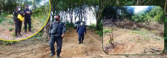 วันที่ 11 พฤษภาคม 2564 เจ้าหน้าที่หน่วยป้องกันและพัฒนาป่าไม้ เจ้าหน้าที่หน่วยป้องกันรักษาป่าที่ ตร.3 (มะนาว) ได้ออกตรวจลาดตระเวนในเขตพื้นที่รับผิดชอบ ในเขตป่าสงวนแห่งชาติป่าเขาสมิง (คลองใหญ่และป่าเขาไฟไหม้) บริเวณป่าเขาคลองปุก หมู่ที่ 5 ตำบลหนองบอน อำเภอบ่อไร่ จังหวัดตราด จำนวน 1 แปลง เนื้อที่ 3-1-42 ไร่ พบพื้นที่มีการบุกรุกแผ้วถางป่า อยู่ระหว่างดำเนินการตรวจสอบ