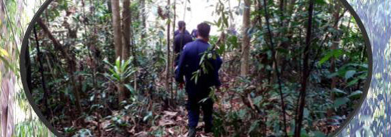 วันที่ 12 พฤษภาคม 2564 หน่วยป้องกันรักษาป่าที่ รย.3 (ห้วยทับมอญ) ได้ออกลาดตระเวนในเขตพื้นที่รับผิดชอบ บริเวณป่าหนองม่วง หมู่ที่ 4 ตำบลชุมแสง อำเภอวังจันทร์ จังหวัดระยอง จำนวน 1 แปลง เนื้อที่ 29-0-56 ไร่ พื้นที่ป่ายังคงสภาพเป็นป่าสมบูรณ์ ไม่พบการกระทำความผิดตามกฏหมายว่าด้วยการป่าไม้