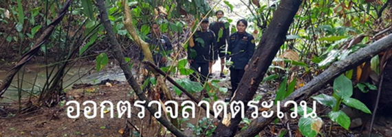 วันที่ 12 พฤษภาคม 2564 หน่วยป้องกันรักษาป่าที่ ตร.4 (ด่านชุมพล) ได้ออกลาดตระเวนในเขตพื้นที่รับผิดชอบ บริเวณป่าเขาถ้ำ หมู่ที่ 3 ตำบลด่านชุมพล อำเภอบ่อไร่ จังหวัดตราด จำนวน 1 แปลง เนื้อที่ 53-2-30 ไร่ พื้นที่ป่ายังคงสภาพเป็นป่าสมบูรณ์ ไม่พบการกระทำความผิดตามกฏหมายว่าด้วยการป่าไม้