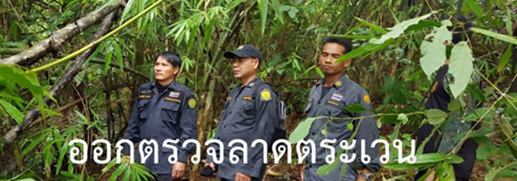 วันที่ 16 พฤษภาคม 2564 หน่วยป้องกันรักษาป่าที่ ตร.4 (ด่านชุมพล) ได้ออกลาดตระเวนในเขตพื้นที่รับผิดชอบบริเวณป่าเขาน้อย หมู่ที่ 1 ตำบลชุมพล อำเภอบ่อไร่ จังหวัดตราด จำนวน 1 แปลง เนื้อที่ 86-3-98 ไร่ พื้นที่ป่ายังคงสภาพเป็นป่าสมบูรณ์ ไม่พบการกระทำความผิดตามกฏหมายว่าด้วยการป่าไม้