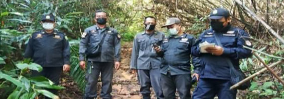 วันที่ 3 พฤษภาคม 2564 หน่วยป้องกันและพัฒนาป่าไม้บ่อไร่ เจ้าหน้าที่รักษาป่าที่ ตร.3 (มะนาว) ได้ออกตรวจลาดตระเวนในเขตพื้นที่รับผิดชอบ ในเขตป่าสงวนแห่งชาติป่าเขาสมิง (ป่าคลองใหญ่และป่าเขาไฟไหม้) บริเวณป่าเขาคลองปุก หมู่ที่ 4 ตำบลช้างทูน อำเภอบ่อไร่ จังหวัดตราด จำนวน 1 แปลง เนื้อที่ 153-0-82 ไร่ พื้นที่ป่ายังคงสภาพเป็นป่าสมบูรณ์ ไม่พบการกระทำความผิดตามกฏหมายว่าด้วยการป่าไม้