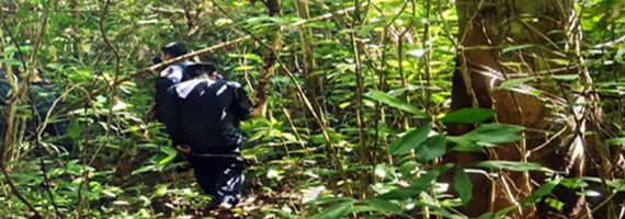 วันที่ 17 พฤษภาคม 2564 หน่วยป้องกันรักษาป่าที่ รย.2 (บ้านค่าย) ได้ออกลดตระเวนนเขตพื้นที่นับผิดชอบ บริเวณบ้านธรรมสถิตย์ หมู่ที่ 3 ตำบลสำนักทอง อำเภอเมือง จังหวัดระยอง จำนวน 1 แปลง เนื้อที่ 20-2-8 ไร่ พื้นที่ป่ายังคงสภาพเป็นป่าสมบูรณ์ ไม่พบการกระทำความผิดตามกฏหมายว่าด้วยการป่าไม้