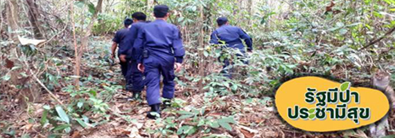 วันที่ 18 พฤษภาคม 2564 หน่วยป้องกันรักษาป่าที่ รย.2 (ห้วยทับมอญ) ได้ออกลาดตระเวนในเขตพื้นที่รับผิดชอบ บริเวณป่าเขาไผ่ หมู่ที่ 3 ตำบลเขาน้อย อำเภอเขาชะเมา จังหวัดระยอง จำนวน 1 แปลง เนื้อที่ 26-1-99 ไร่ พื้นที่ป่ายังคงสภาพเป็นป่าสมบูรณ์ ไม่พบการกระทำความผิดตามกฏหมายว่าด้วยการป่าไม้