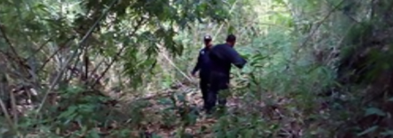 วันที่ 18 พฤษภาคม 2564 หน่วยป้องกันรักษาป่าที่ ตร.2 (คลองห้วยแร้ง) ได้ออกลาดตระเวนเขตพื้นที่รับผิดชอบ ป่าสงวนแห่งชาติ ป่าเขาบรรทัด บ้านสะพานหิน หมู่ที่ 5 ตำบลแหลมกลัด อำเภอเมือง จังหวัดตราด จำนวน 1 แปลง เนื้อที่ 55-3-25 ไร่ ผลการตรวจลาดตระเวน พื้นที่ป่ายังคงสภาพเป็นป่าสมบูรณ์ ไม่พบการกระทำความผิดตามกฏหมายว่าด้วยการป่าไม้แต่อย่างใด