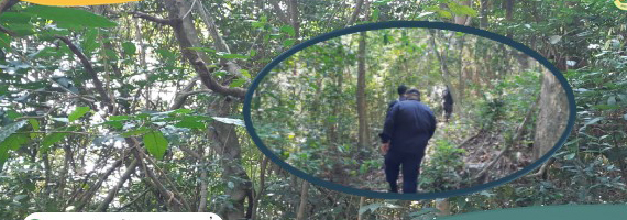 วันที่ 18 พฤษภาคม 2564 หน่วยป้องกันรักษาป่าที่ รย.1 (บ้านนา-ทุ่งควายกิน) ได้ออกลาดตระเวนในเขตพื้นที่รับผิดชอบบริเวณป่าเขาจุก หมู่ที่ 8 ตำบลทุ่งควายกิน อำเภอแกลง จังหวัดระยอง จำนวน 1 แปลง เนื้อที่ 55-0-24 ไร่ พื้นที่ป่ายังคงสภาพเป็นป่าสมบูรณ์ ไม่พบการกระทำความผิดตามกฏหมายว่าด้วยการป่าไม้