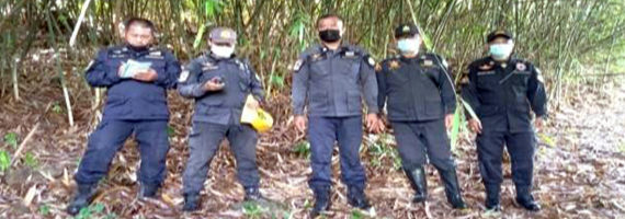 วันที่ 19 พฤษภาคม 2564 เจ้าหน้าที่หน่วยป้องกันและพัฒนาป่าไม้บ่อไร่ เจ้าหน้าที่หน่วยป้องกันรักษาป่าที่ ตร.3 (มะนาว) ได้ออกตรวจลาดตระเวนในเขตพื้นที่รับผิดชอบ ในเขตป่าสงวนแห่งชาติป่าเขาสมิง (ป่าคลองใหญ่และป่าเขาไฟไหม้) บริเวณป่าเขากำแพง หมู่ที่ 2 ตำบลหนองบอน อำเภอบ่อไร่ จังหวัดตราด จำนวน 1 แปลง เนื้อที่ 88-0-21 ไร่ พื้นที่ป่ายังคงสภาพเป็นป่าสมบูรณ์ ไม่พบการกระทำความผิดตามกฏหมายว่าด้วยการป่าไม้