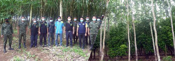 วันที่ 20 พฤษภาคม 2564 คณะเจ้าหน้าที่ประกอบด้วยหน่วยป้องกันรักษาป่าที่ รย.1 (บ้านนา-ทุ่งควายกิน) ปลัดอำเภอแกลง ชุดปฏิบัติการพิเศษป่าไม้ระยอง และผู้ใหญ่บ้านหมู่ที่ 11 ตำบลกองดิน ได้ร่วมกันออกตรวจสอบตามที่สภาผู้แทนราษฎรขอให้ตอบข้อปรึกษาหารือของสภาผู้แทนราษฎร โดยให้ตรวจสอบในประเด็นเรื่อง ขอให้ตรวจสอบกรณีมีผู้ร้องเรียนมีผู้บุกรุกที่ดินรัฐ หมู่ที่ 4 และหมู่ที่ 5 ตำบลพังราด และหมู่ที่ 11 ตำบลกองดิน อำเภอแกลง จังหวัดระยอง คณะเจ้าหน้าที่ได้ตรวจสอบบริเวณบ้านทรัพย์เจริญ หมู่ที่ 11 ตำบลกองดิน อำเภอแกลง จังหวัดระยอง โดยตรวจสอบบริเวณทั่งไปในท้องที่หมู่ที่ 11 พบมีราษฎรทำการเกษตรปลูกยางพารา และสวนผลไม้อยู่ทั่วไป ไม่พบมีการบุกรุกใหม่แต่อย่างใด ผู้ใหญ่บ้านหมู่ที่ 11 ตำบลกองดิน ให้ถ้อยคำต่อคณะเจ้าหน้าที่ว่าในท้องที่หมู่ที่ 11 ราษฎรได้เข้ามาบุกเบิกทำการเกษตรประมาณ 50 ปีแล้ว ประกอบกับในปีงบประมาณ พ.ศ. 2563 กรมป่าไม้ ได้จ้างลูกจ้างผู้ช่วยงานเจ้าหน้าที่ป่าไม้ ในการปฏิบัติงาตามนโยบาย คทช. ในการสำรวจการใช้ประโยชน์ในที่ดินป่าในพื้นที่ป่าสงวนแห่งชาติ "ช่วยเหลือรายได้ราษฎรผู้ได้รับผลกระทบ COVID-19" ซึ่งก็ได้มีการสำรวจในท้องที่หมู่ที่ 11 ตำบลกองดิน ไปด้วยแล้ว และอยู่ระหว่างรอการดำเนินการโครงการ คทช. จึงจัดทำบันทึกไว้เป็นหลักฐาน