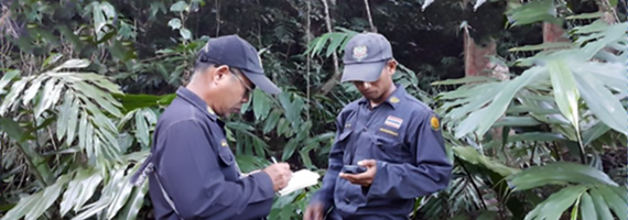 วันที่ 4 เมษายน 2564 หน่วยป้องกันรักษาป่าที่ ตร.4 (ด่านชุมพล) ได้ออกลาดตระเวนในเขตพื้นที่รับผิดชอบ บริเวณป่าเขามะนาว หมู่ที่ 4 ตำบลด่านชุมพล อำเภอบ่อไร่ จังหวัดตราด จำนวน 1 แปลง เนื้อที่ 41-0-50 ไร่ พื้นที่ป่ายังคงสภาพเป็นป่าสมบูรณ์ ไม่พบการกระทำความผิดตามกฏหมายว่าด้วยการป่าไม้