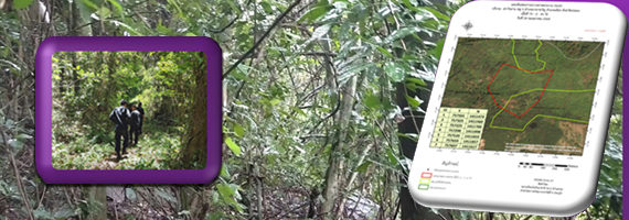 วันที่ 24 พฤษภาคม 2564 หน่วยป้องกันรักษาป่าที่ รย.2 (บ้านค่าย) ได้ออกตรวจลาดตระเวนในเขตพื้นที่รับผิดชอบ บริเวณเขาวังม่าน หมู่ที่ 5 ตำบลนาตาขวัญ อำเภอเมือง จังหวัดระยอง จำนวน 1 แปลง เนื้อที่ 73-2-81 ไร่ พื้นที่ป่ายังคงสภาพเป็นป่าสมบูรณ์ ไม่พบการกระทำความผิดตามกฏหมายว่าด้วยการป่าไม้