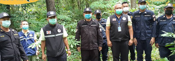 วันที่ 24 พฤษภาคม 2564 หน่วยป้องกันรักษาป่าที่ รย.1 (บ้านนา-ทุ่งควายกิน) และเจ้าหน้าที่ กอ.รมน. จังหวัดระยอง ได้ออกลาดตระเวนในเขตพื้นที่รับผิดชอบบริเวณสวนป่าประดู่ หมู่ที่ 2 ตำบลน้ำเป็น อำเภอเขาชะเมา จังหวัดระยอง จำนวน 1 แปลง เนื้อที่ 63-2-31 ไร่ พื้นที่ป่ายังคงสภาพเป็นป่าสมบูรณ์ ไม่พบการกระทำความผิดตามกฏหมายว่าด้วยการป่าไม้