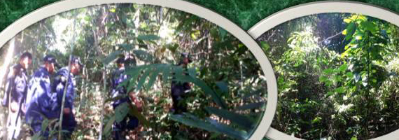 วันที่ 24 พฤษภาคม 2564 หน่วยป้องกันรักษาป่าที่ รย. 3 (ห้วยทับมอญ) ได้ออกลาดตระเวนในเขตพื้นที่รับผิดชอบ บริเวณป่าบ้านตะขบ หมู่ที่ 4 ตำบลเขาน้อย อำเภอเขาชะเมา จังหวัดระยอง จำนวน 1 แปลง เนื้อที่ 20-1-58 ไร่ พื้นที่ป่ายังคงสภาพเป็นป่าสมบูรณ์ ไม่พบการกระทำความผิดตามกฏหมายว่าด้วยการป่าไม้