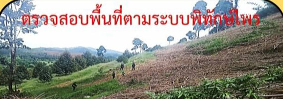 วันที่ 24 พฤษภาคม 2564 เจ้าหน้าที่หน่วยป้องกันและพัฒนาป่าไม้บ่อไร่ เจ้าหน้าที่หน่วยป้องกันรักษาป่าที่ ตร.3 (มะนาว) ได้ออกตรวจลาดตระเวนในเขตพื้นที่รับผิดชอบ ในเขตป่าสงวนแห่งชาติป่าเขาสมิง (ป่าคลองใหญ่และป่าเขาไฟไหม้) ตามระบบพิทักษ์ไพร บริเวณป่าคลองปุก หมู่ที่ 5 ตำบลหนองบอน อำเภอบ่อไร่ จังหวัดตราด จำนวน 1 แปลง เนื้อที่ 12-0-55 ไร่ พื้นที่มีการบุกรุกแผ้วถางป่า อยู่ระหว่างดำเนินการตรวจสอบ