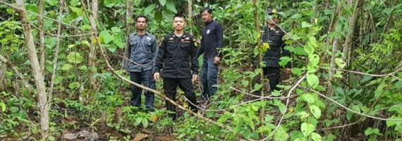 วันที่ 24 พฤษภาคม 2564 หน่วยป้องกันรักษาป่าที่ ตร.4 (ด่านชุมพล) ได้ออกลาดตระเวนในเขตพื้นที่รับผิดชอบ บริเวณป่าเขาเอ็ด หมู่ที่ 5 ตำบลนนทรีย์ อำเภอบ่อไร่ จังหวัดตราด จำนวน 1 แปลง เนื้อที่ 215-0-41 ไร่ พื้นที่ป่ายังคงสภาพเป็นป่าสมบูรณ์ ไม่พบการกระทำความผิดตามกฏหมายว่าด้วยการป่าไม้